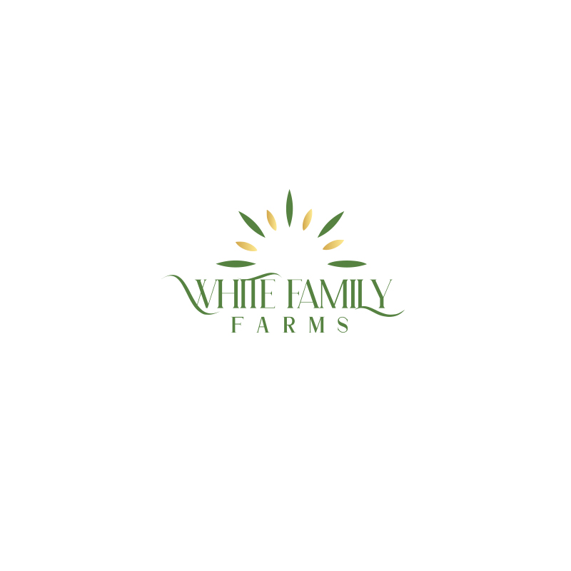 Diseño de Logo por Coli para este proyecto | Diseño #32837783