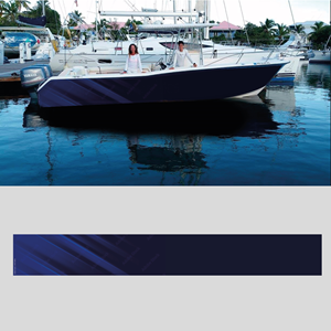 Graphic Design by Eve.A for this project | Design #32865871
