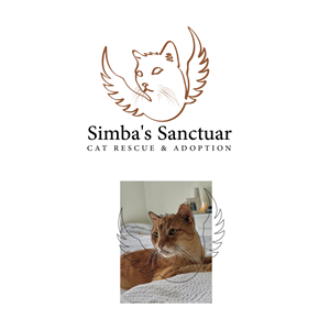 Logo Design by Bullseye Pixel