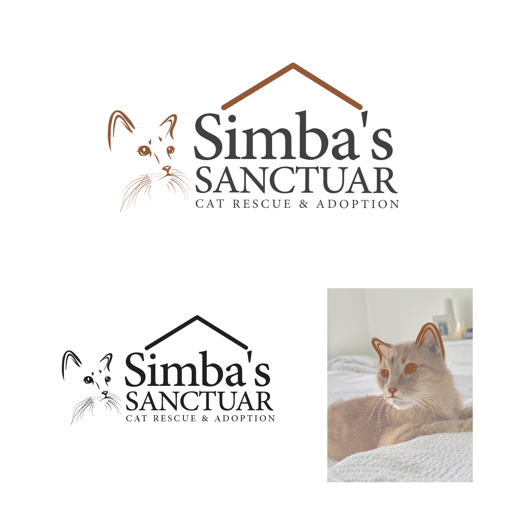 Logo Design by Bullseye Pixel for this project | Design #32822579