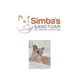 Design de Logo par Bullseye Pixel pour ce projet | Design : #32829956