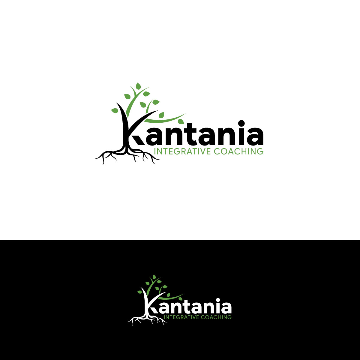 Diseño de Logo por chris Ray para este proyecto | Diseño #32827274