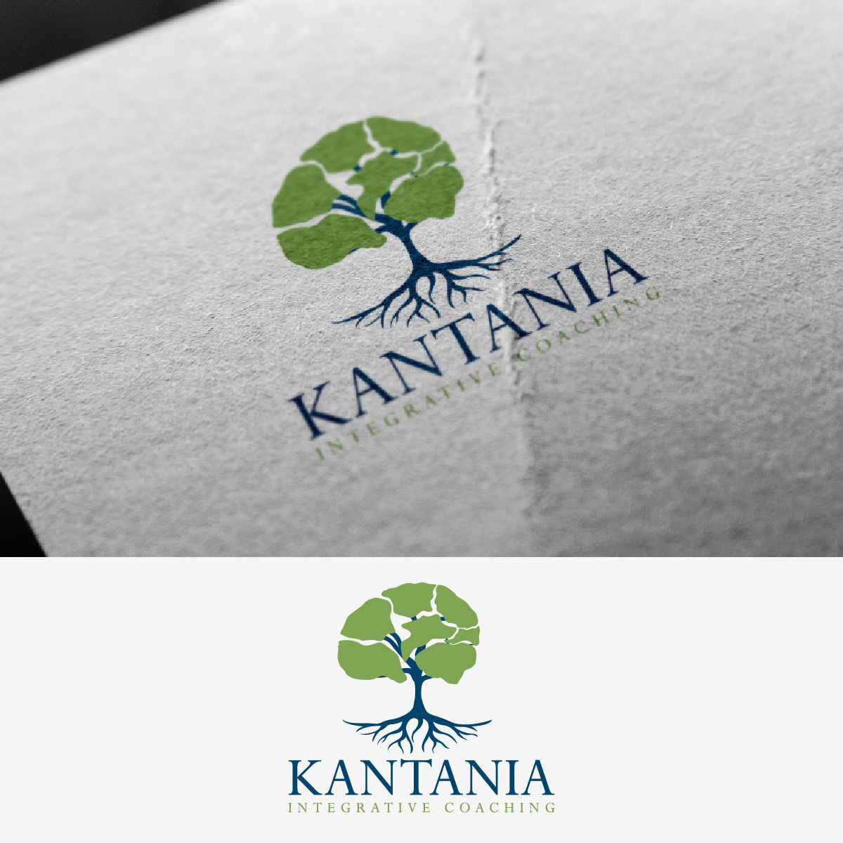 Logo Design by fly  design for this project | Design #32836402