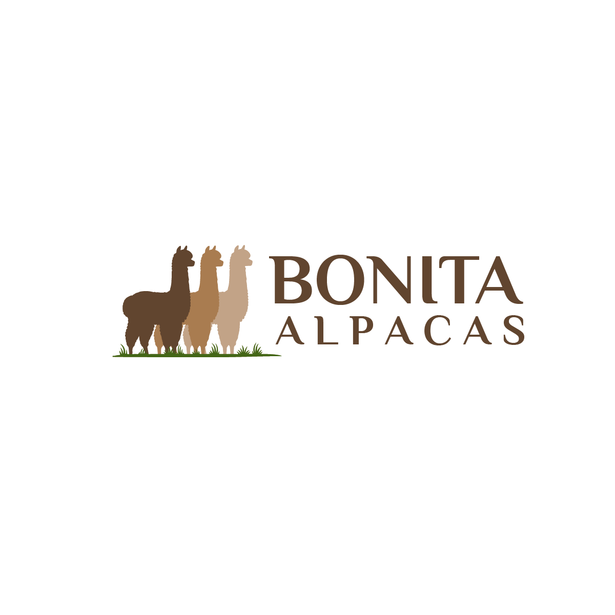 Logo-Design von Elrich für dieses Projekt | Design #32832761