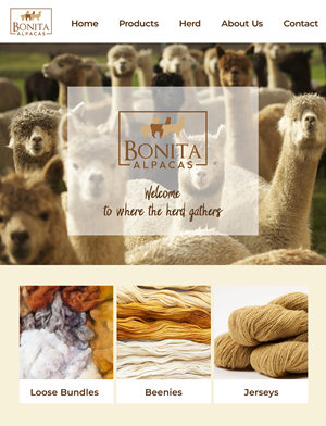 Logo Design by Lezette_G for this project | Design: #32854444