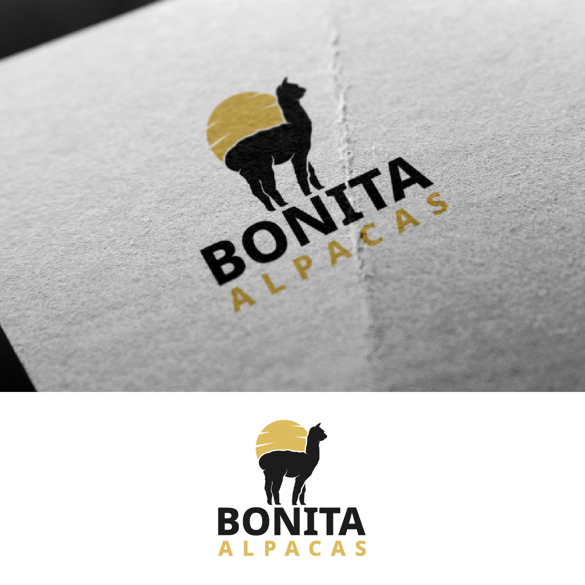 Logo Design by fly  design for this project | Design #32844252