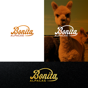 Logo Design by Tan-D for this project | Design: #32853880