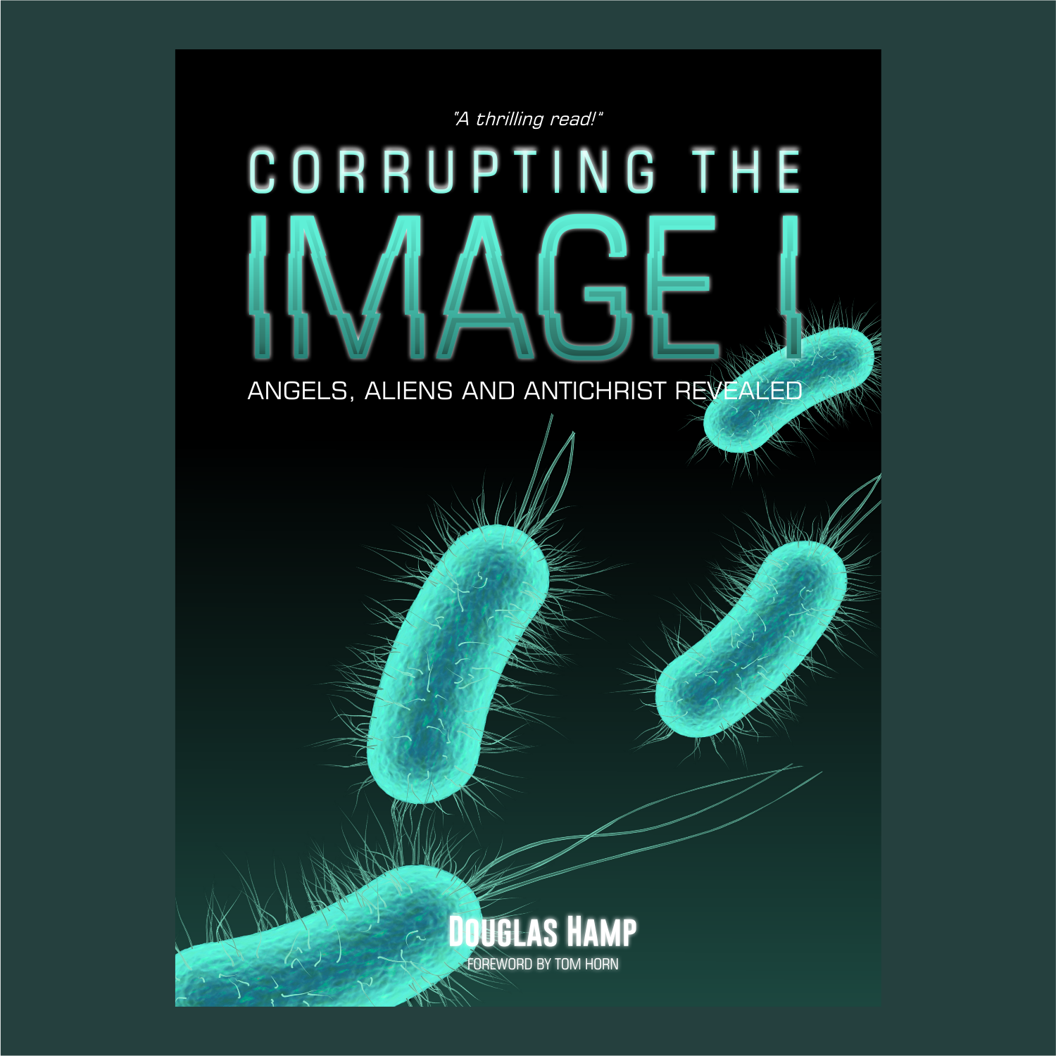 Book Cover Design by ThiagoB for this project | Design #32852504