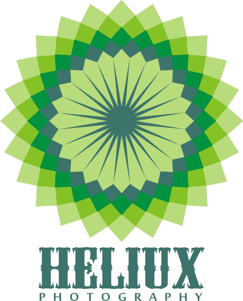 Logo Design by andriherdi for Heliux Photography | Design #3106921