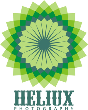 Logo Design by andriherdi for Heliux Photography | Design: #3106921