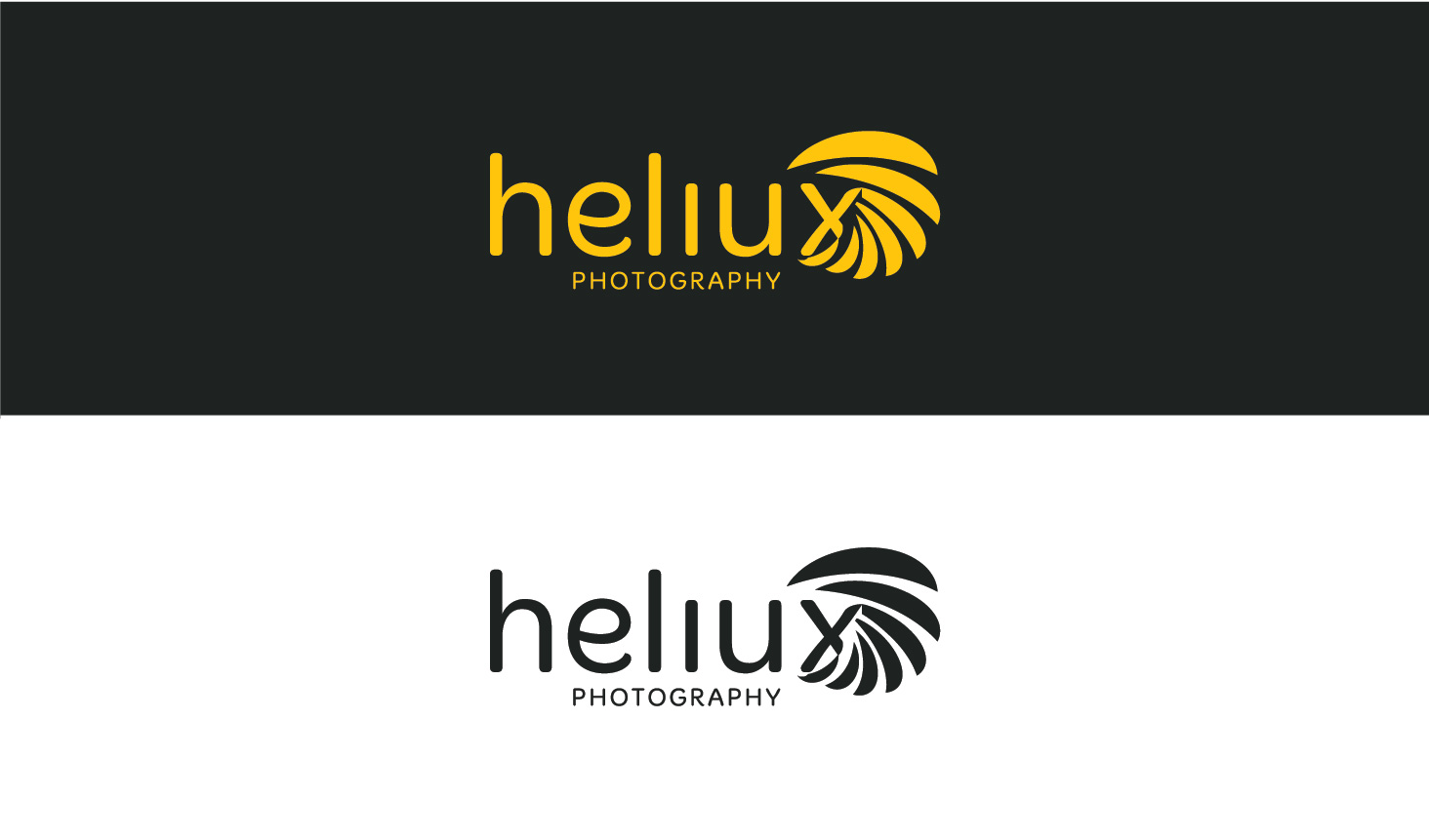 Diseño de Logo por DianneS. para Heliux Photography | Diseño #3132313