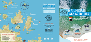 Flyer Design by ReadyRed