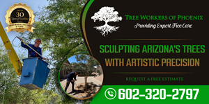 Design de Panneau par Adi GFX pour Tree Workers Of Phoenix | Design : #32859627