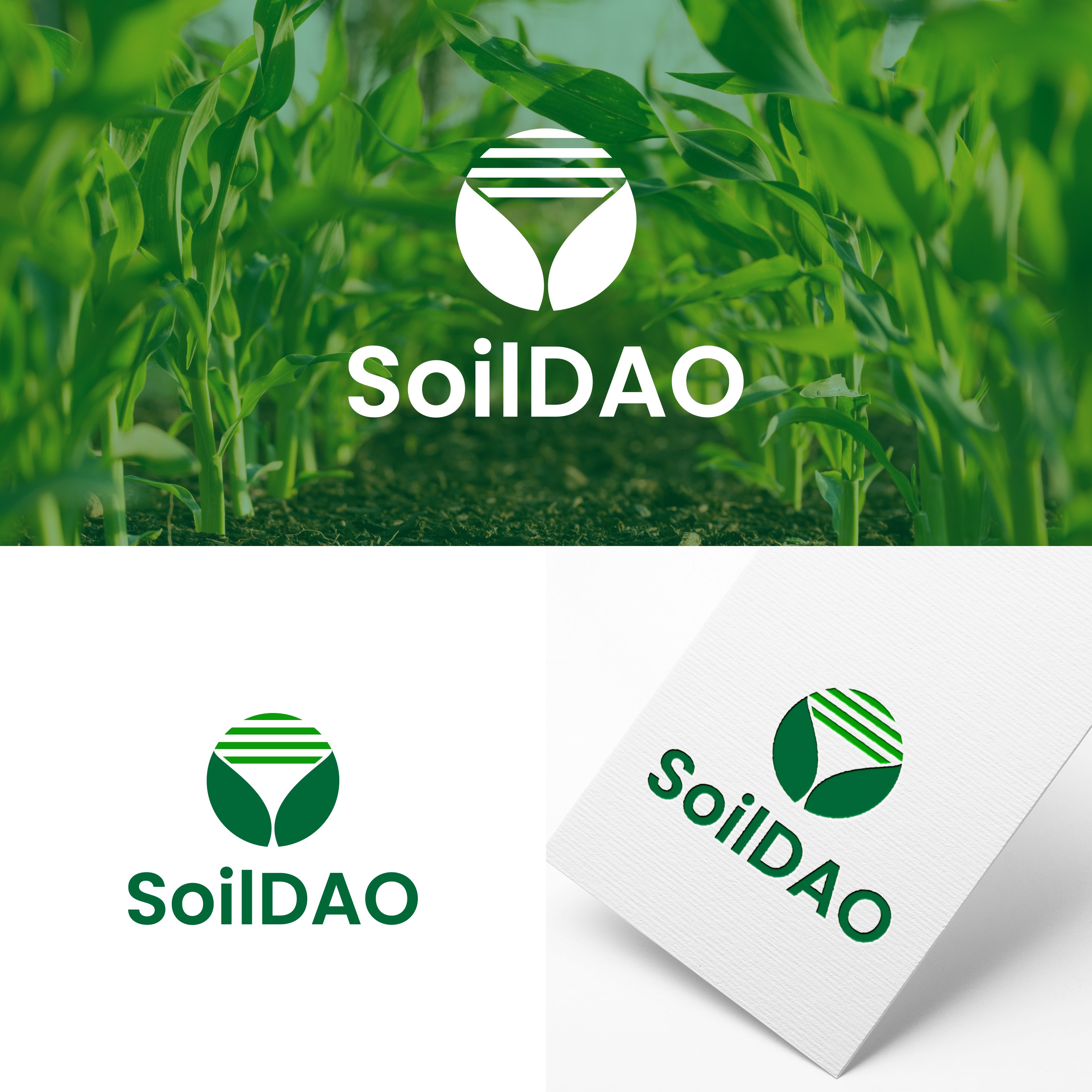 Logo Design by syad666 for this project | Design #32906352