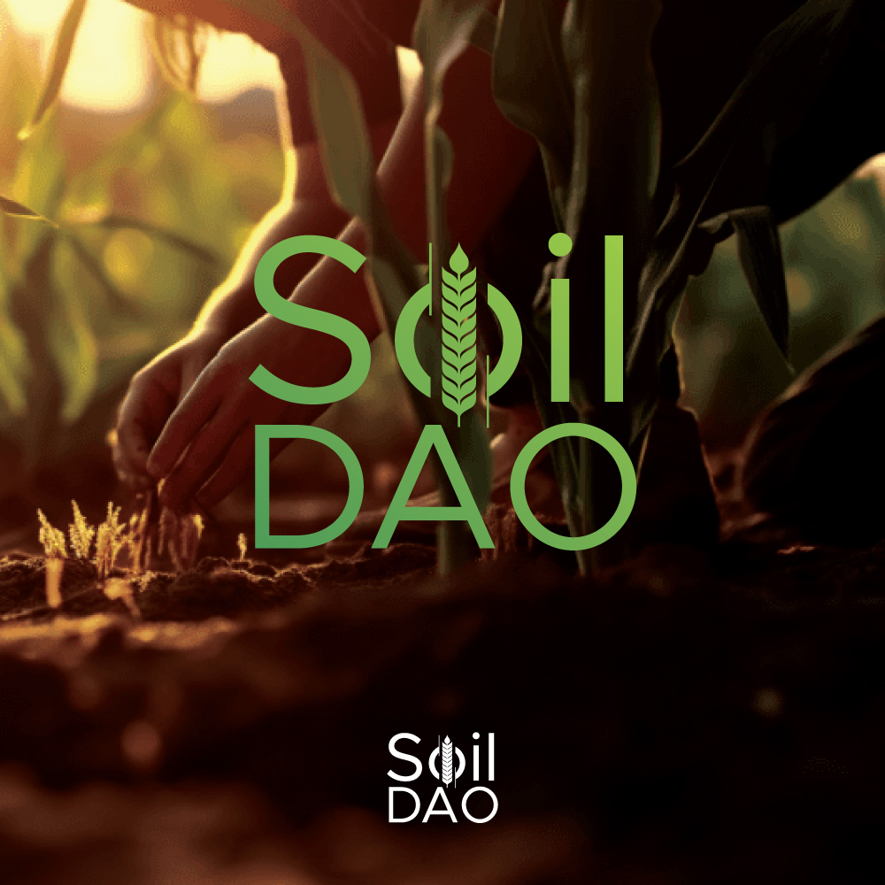 Logo Design by designertec for this project | Design #32921390