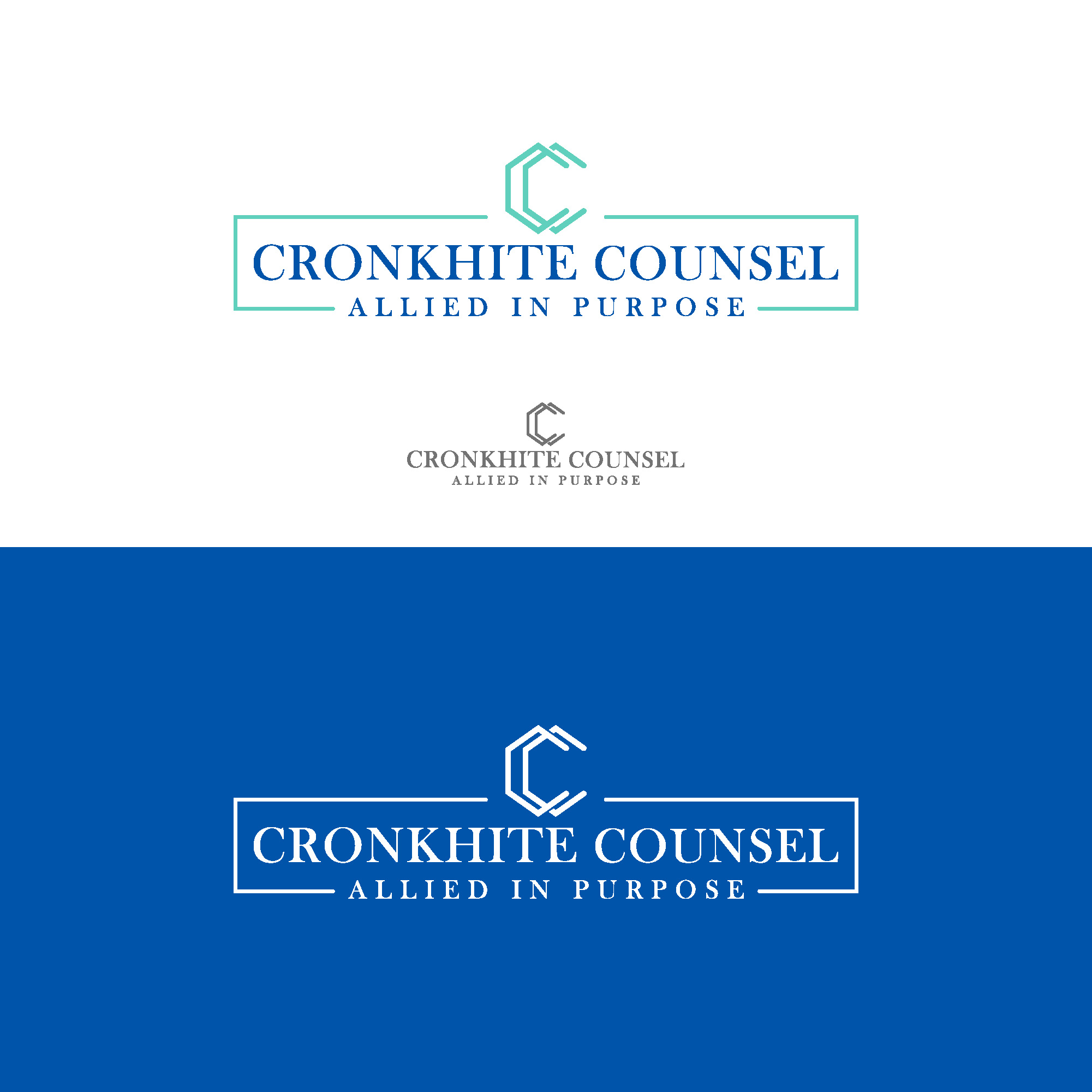 Logo Design by Ashraful 9 for this project | Design #32870116