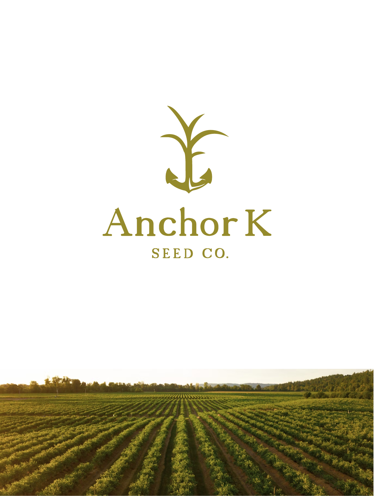 Logo Design by apik. for this project | Design #32871487