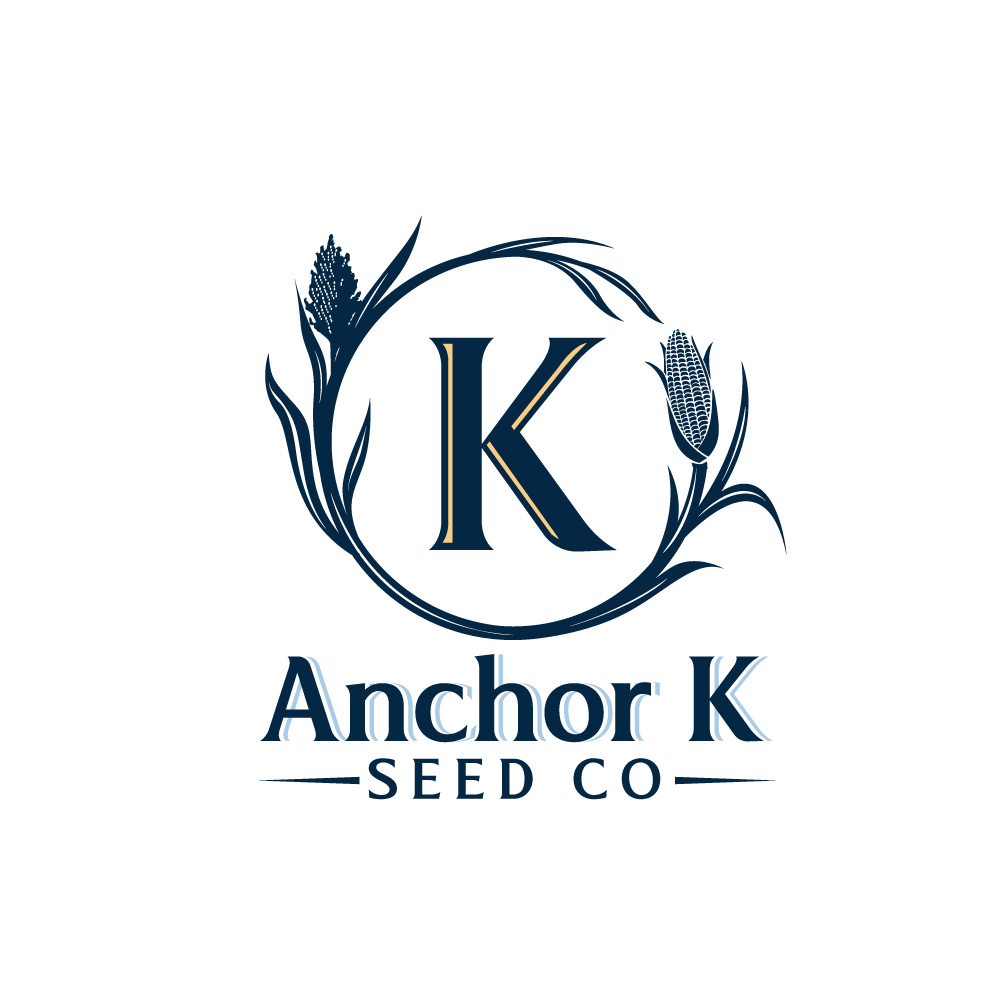 Logo-Design von Krold IT Solutions für dieses Projekt | Design #32889867