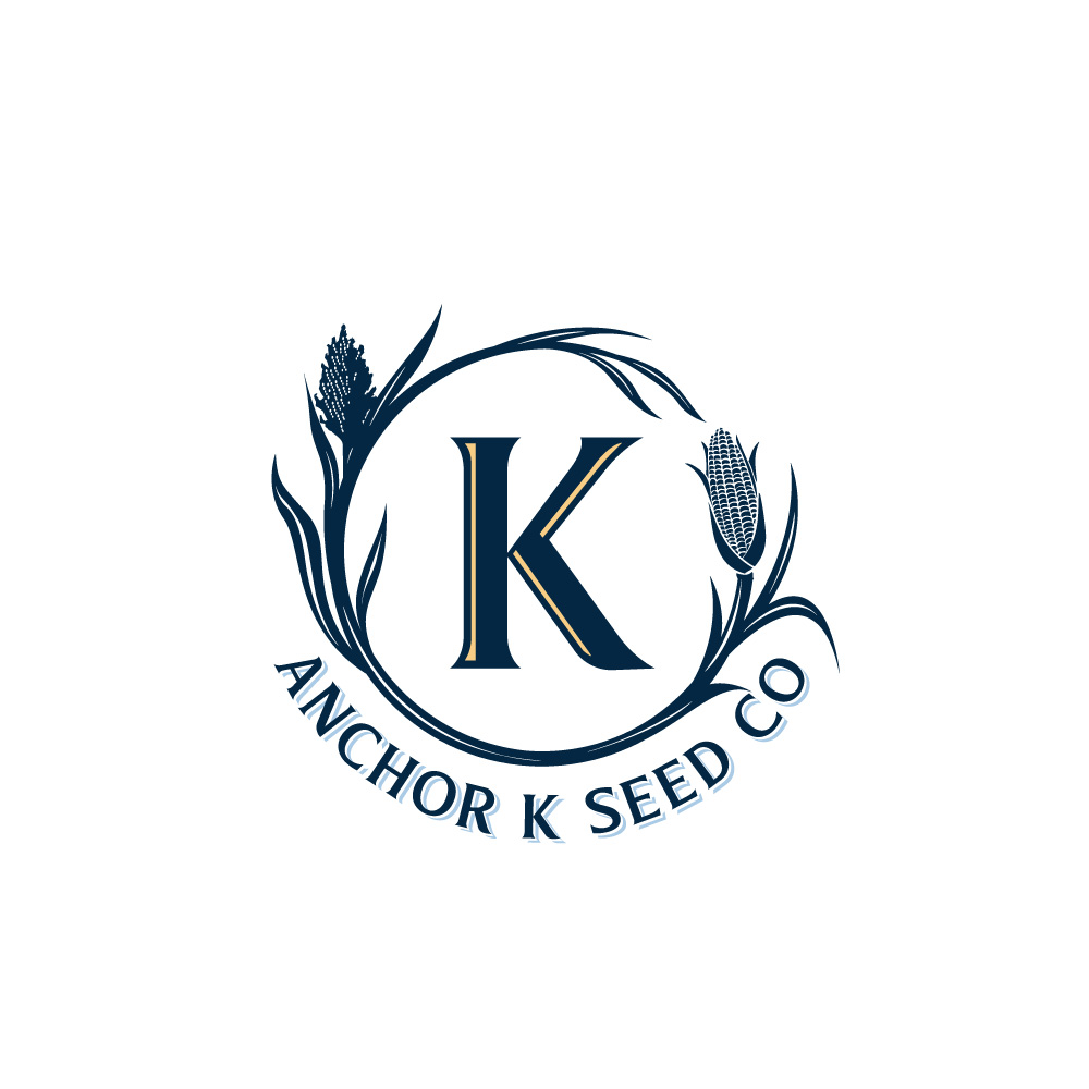 Design de Logo par Krold IT Solutions pour ce projet | Design #32889868