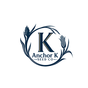 Logo Design by Krold IT Solutions for this project | Design: #32889869