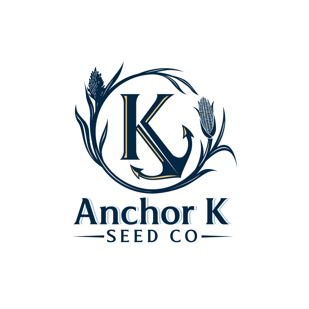 Logo Design by Krold IT Solutions for this project | Design #32891632
