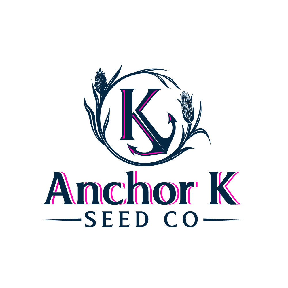 Logo-Design von Krold IT Solutions für dieses Projekt | Design #32896327