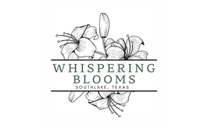 Logo Design by Zonda Studio for this project | Design #32879982