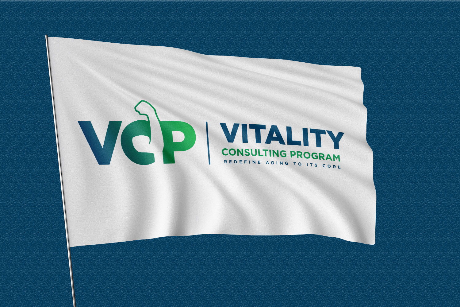 Logo Design by Abdul 20 for this project | Design #32881167
