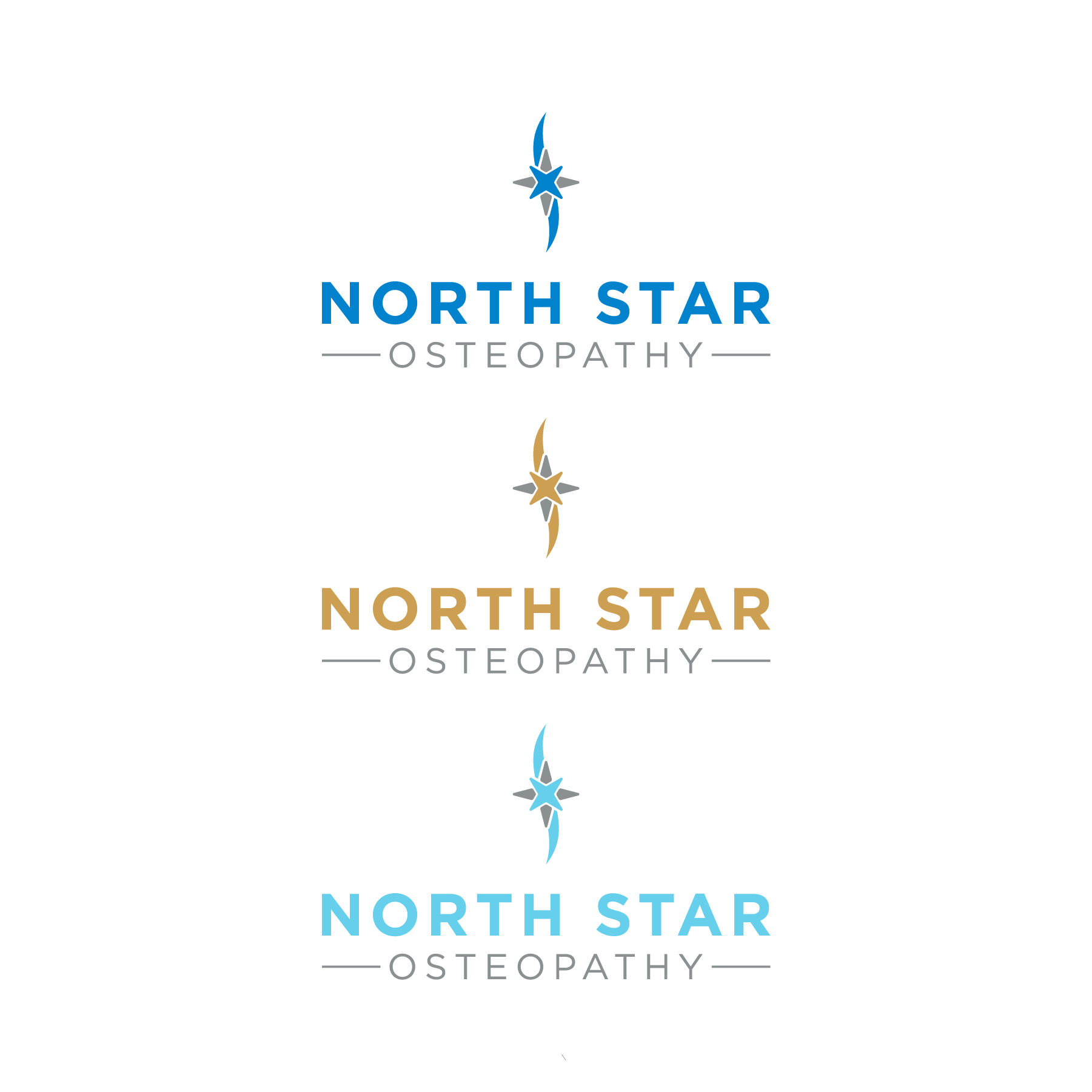 Logo-Design von The Lion Studios für dieses Projekt | Design #32890945