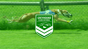 Logo Design by abdurink for Cranbourne Greyhound Racing Club | Design: #32883095