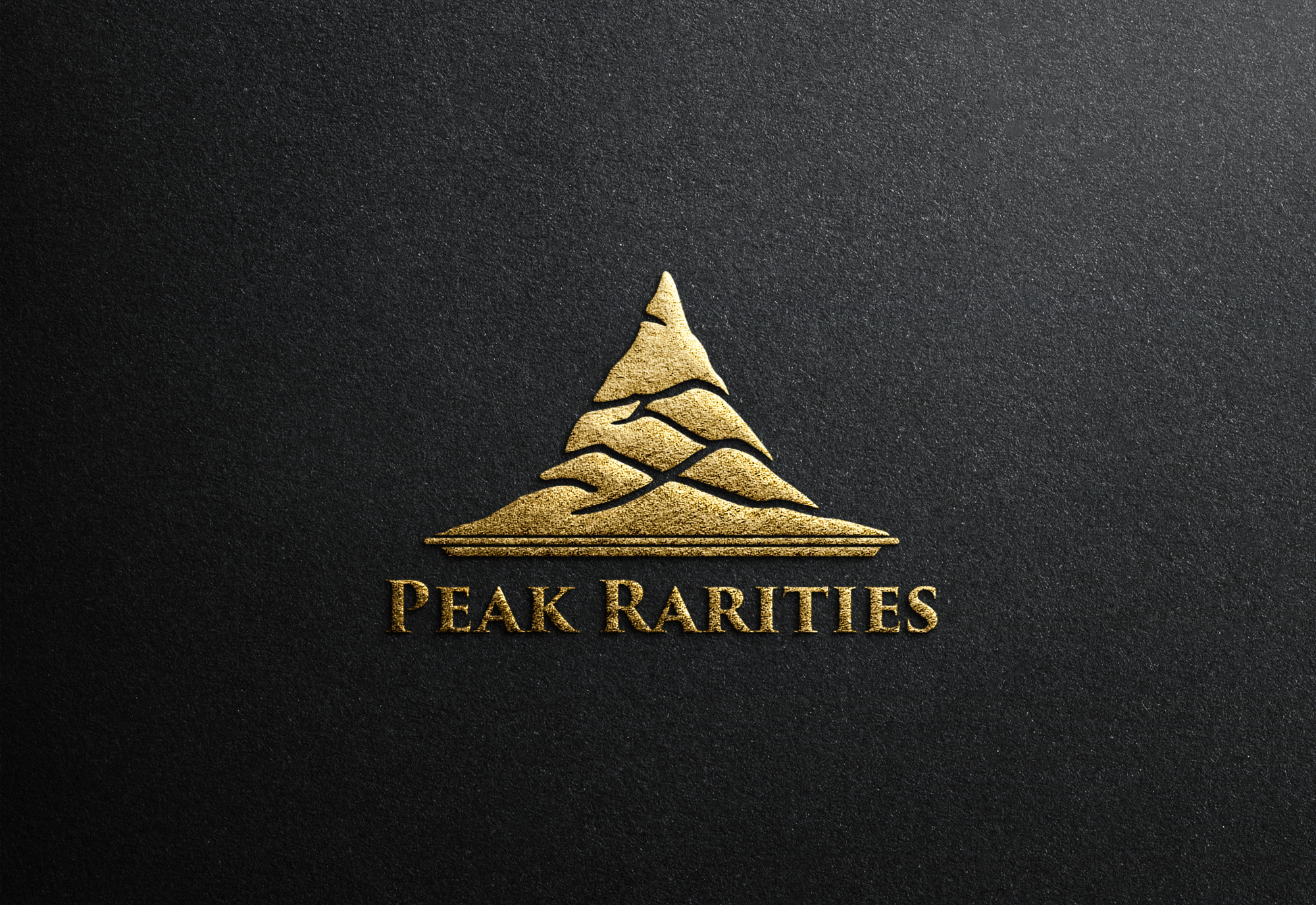 Logo Design by Angon Graphic for this project | Design #32893920