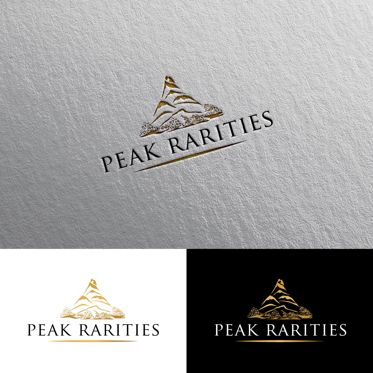 Logo Design by chris Ray for this project | Design #32888025