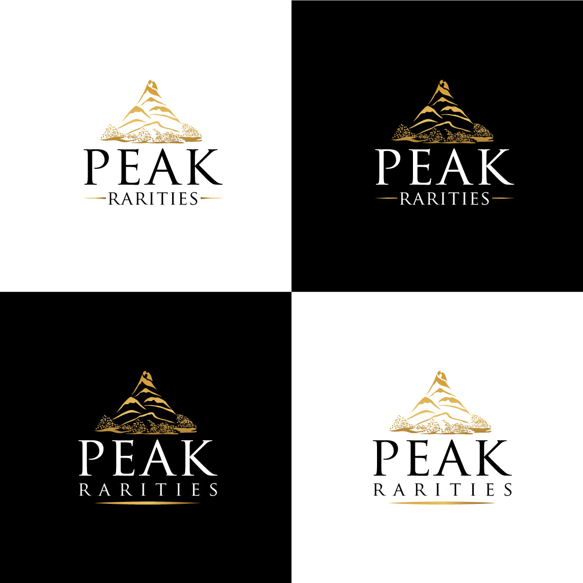 Logo Design by chris Ray for this project | Design #32904315