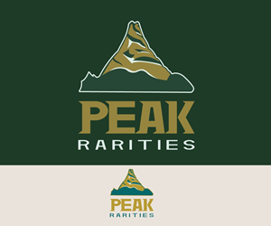 Logo Design by REBLIND Studio