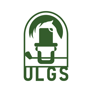 Logo Design by electrik | brand solutions for this project | Design: #32900961