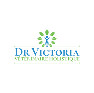 Logo Design by 676Baldwin