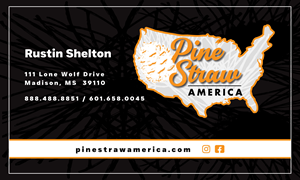 Business Card Design by ainee4