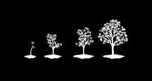 Graphic Design by JohnnydArt for this project | Design: #32961606