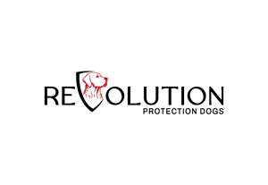 Logo Design by SolidGraphics for this project | Design: #32958162