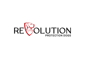 Logo Design by SolidGraphics for this project | Design: #32958163