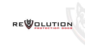 Logo Design by Vectorism