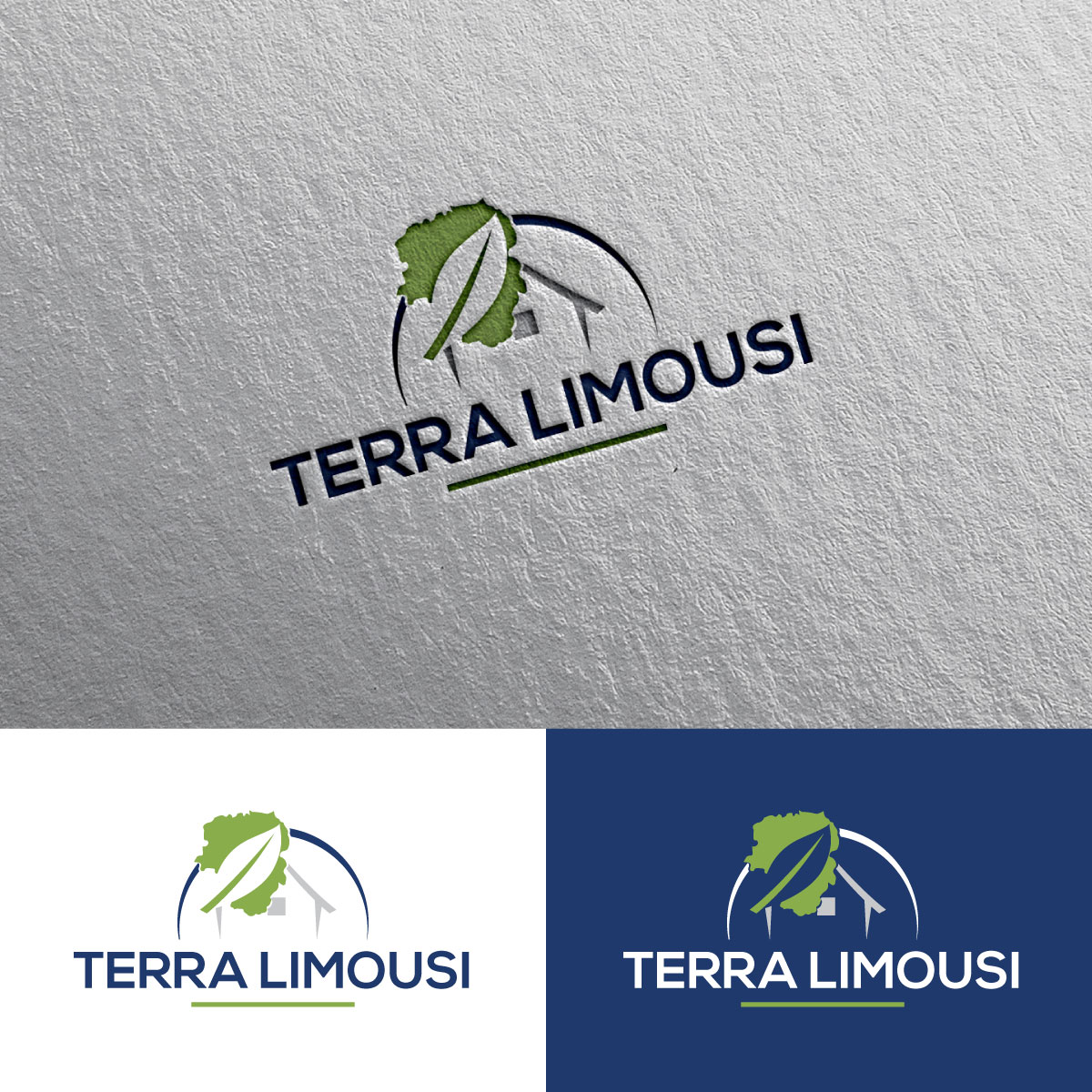Logo Design by chris Ray for this project | Design #32949756