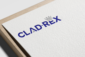 Logo Design by Graphicvai
