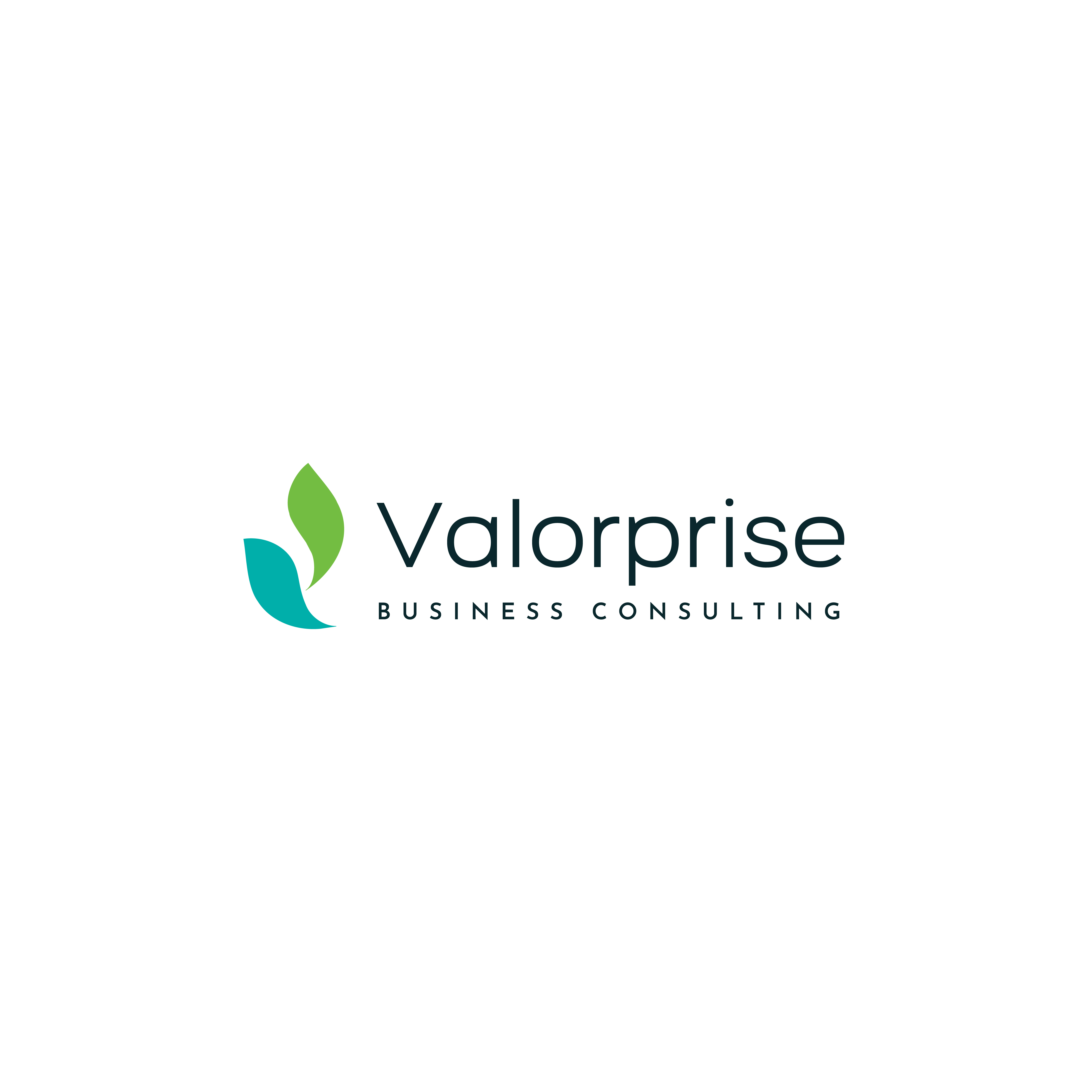 Logo Design by MMYOUSUF for Valorprise | Design #32956991