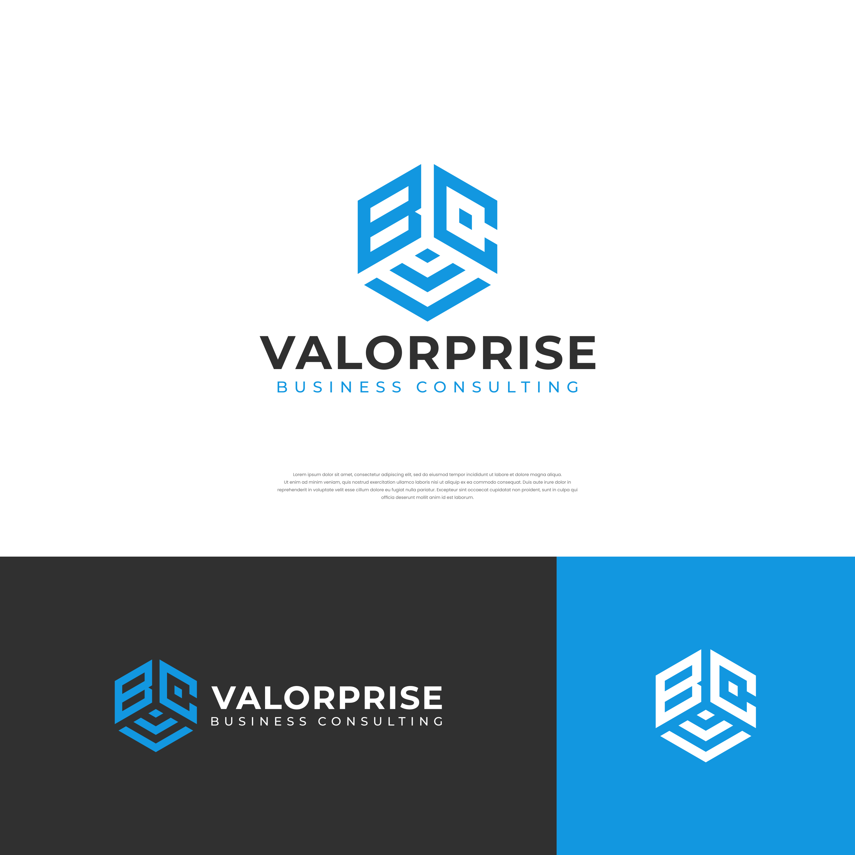 Logo-Design von ge.logo für Valorprise | Design #32955903