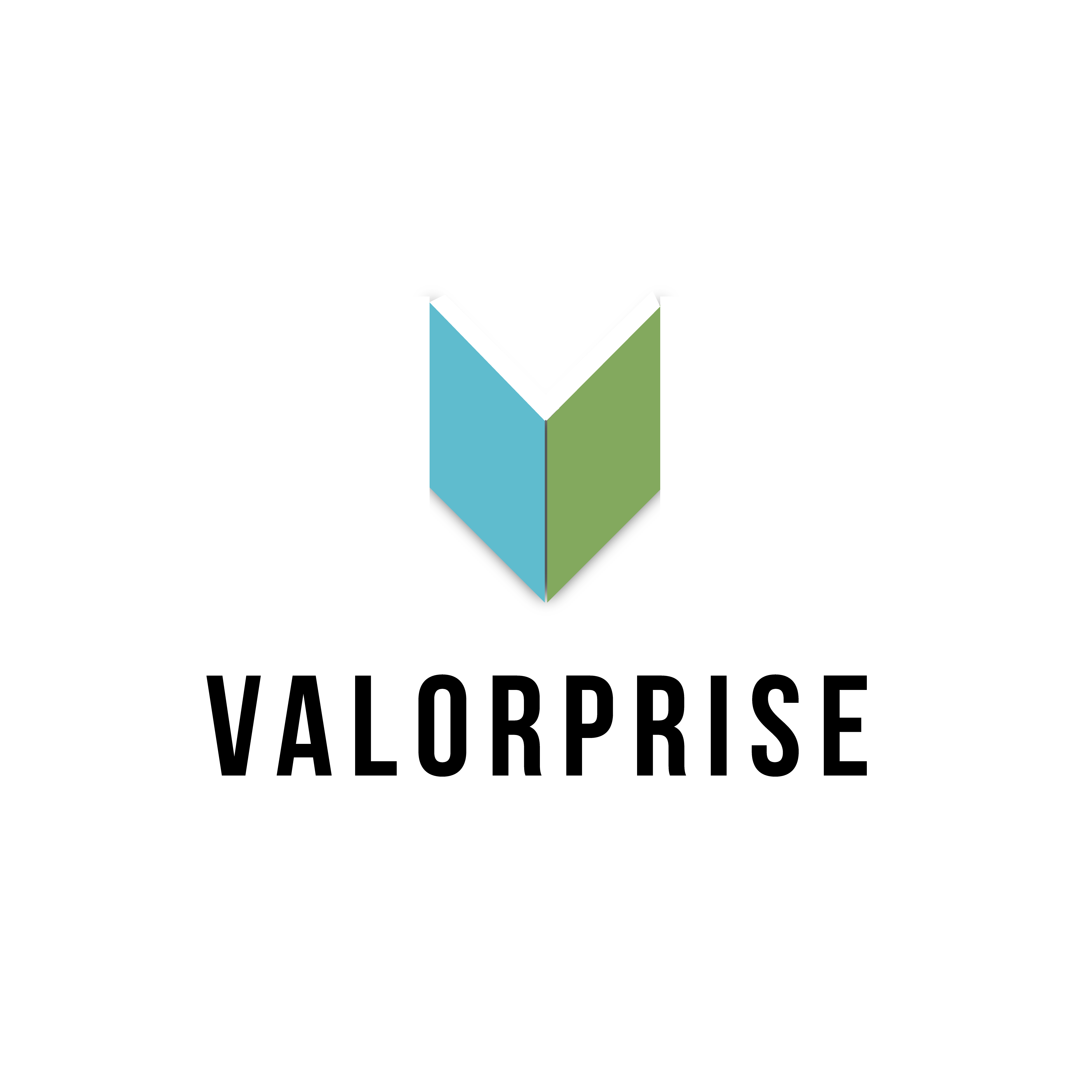 Logo Design by mmuhsan224 for Valorprise | Design #32963997