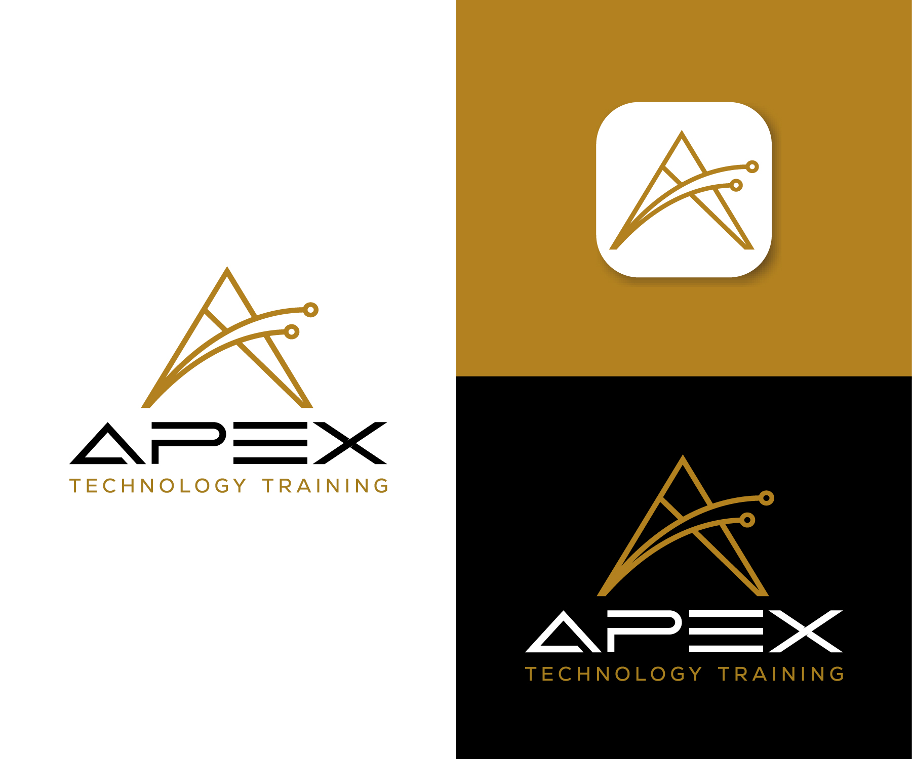 Diseño de Logo por debdesign para Apex Training, LLC | Diseño #33008695