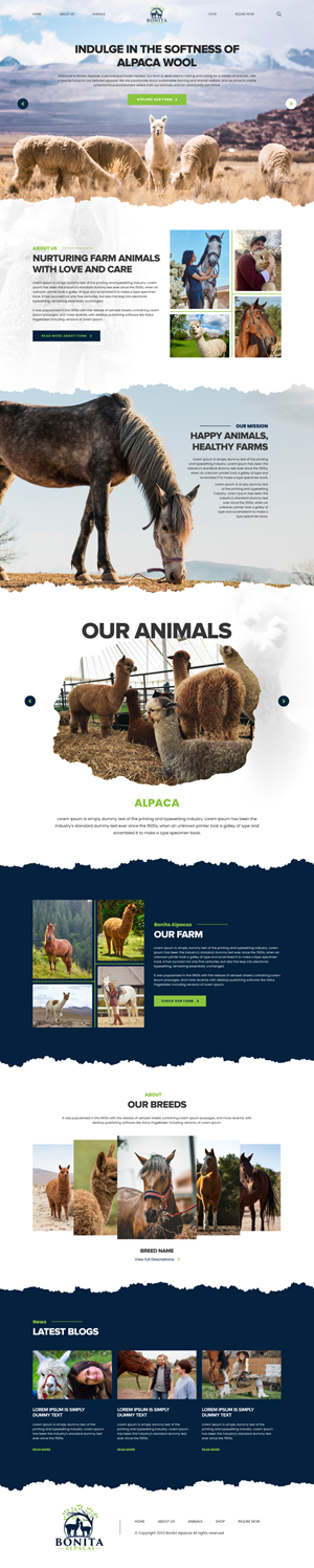 Web Design by Hafsa Fatymah for this project | Design: #32991441