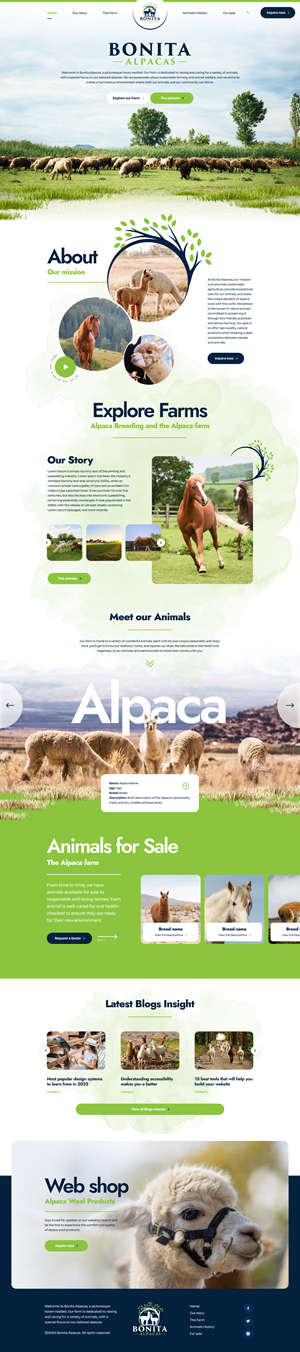 Web Design by Hafsa Fatymah for this project | Design: #32991489