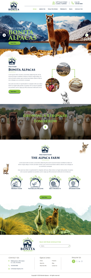 Web Design par RP Digital pour ce projet | Design : #32998838